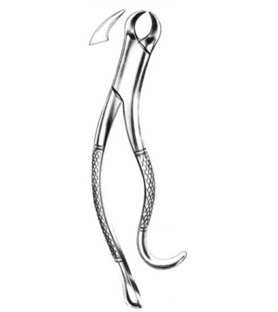 Extracting Forceps